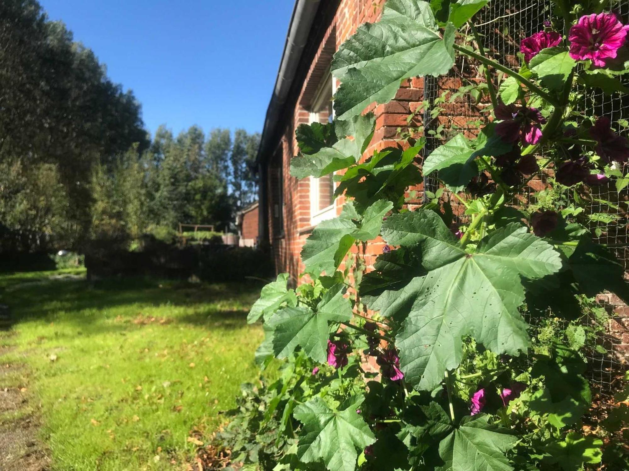 Gulfhof Friedrichsgroden Villa Carolinensiel Exteriör bild