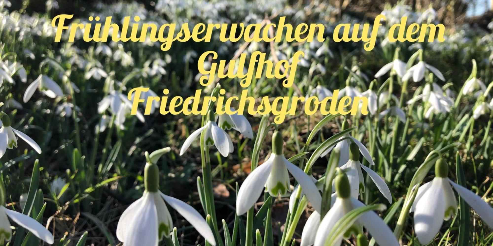 Gulfhof Friedrichsgroden Villa Carolinensiel Exteriör bild