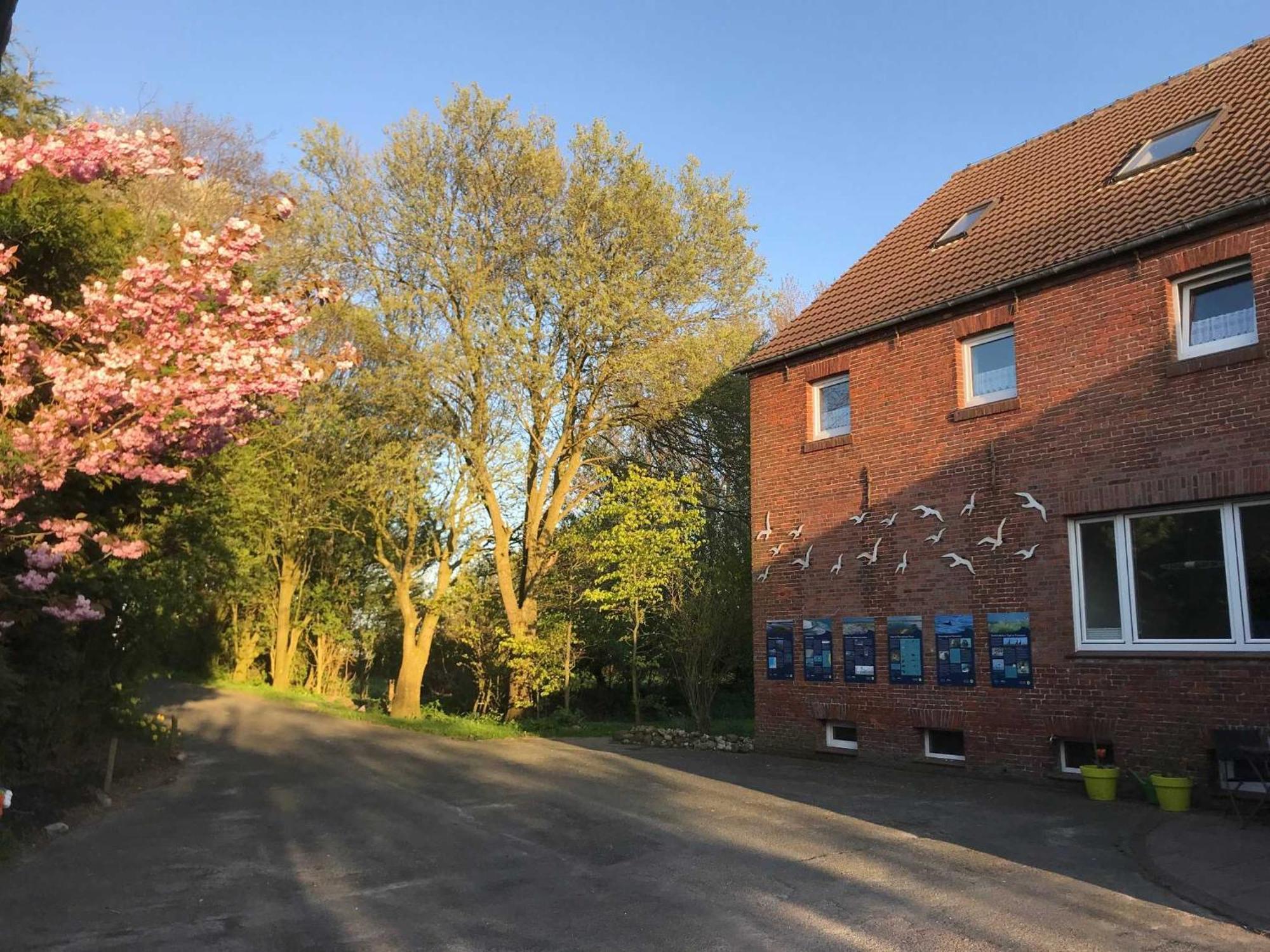 Gulfhof Friedrichsgroden Villa Carolinensiel Exteriör bild
