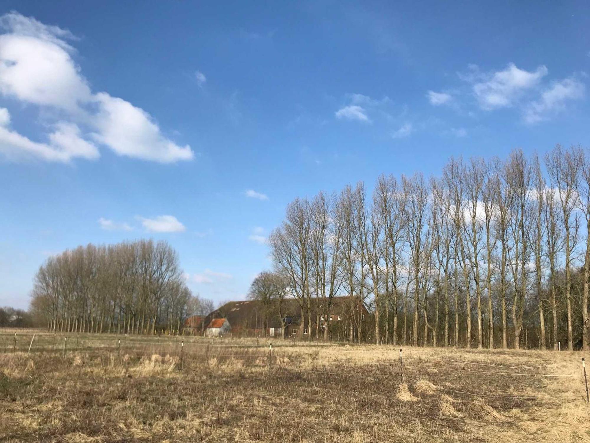 Gulfhof Friedrichsgroden Villa Carolinensiel Exteriör bild
