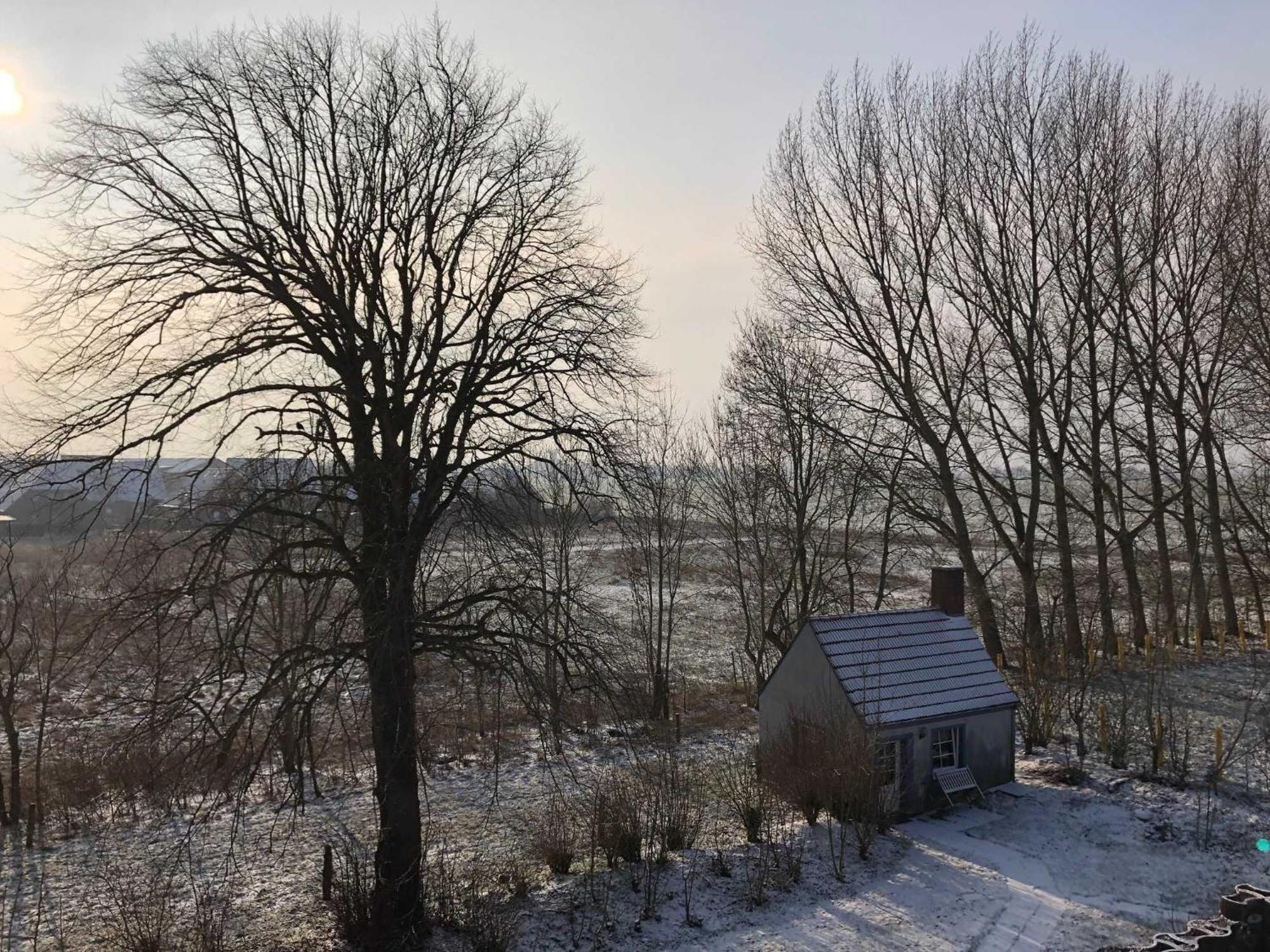 Gulfhof Friedrichsgroden Villa Carolinensiel Exteriör bild